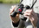 /environment/cache/images/300_300_productGfx_4c7f55bf7fe0e48609cd464381d135dc.jpg